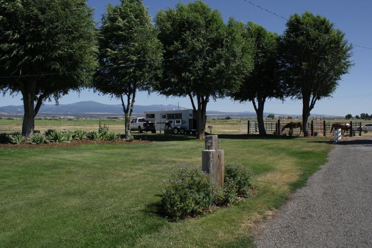 Rim Rock Motel Alturas Kültér fotó